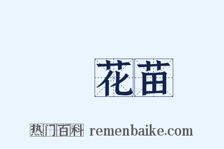 黃花苗是什么意思的图片